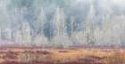 Washington State-Dewatto Panoramic of autumn meadow and forest Art Print